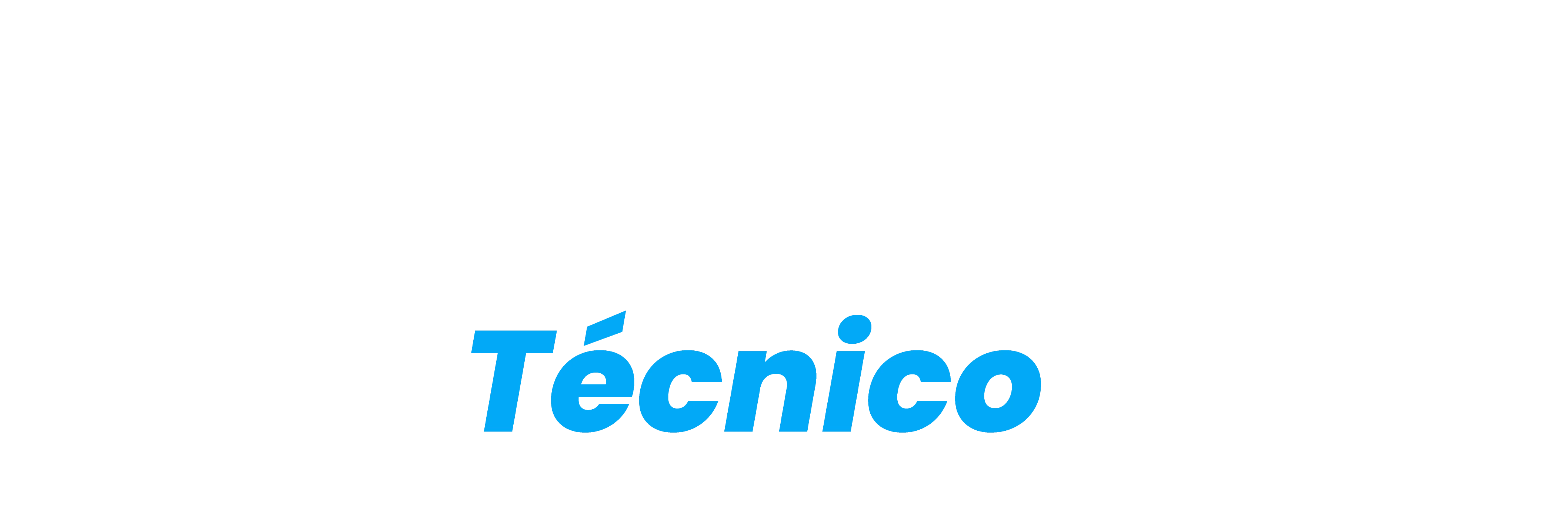 Servicio Técnico